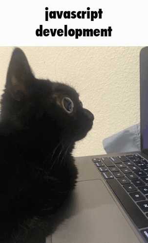 typescript to javascript meme